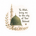 PRE-ORDER | Ya Allaah, Bring Me to the City of Your Beloved